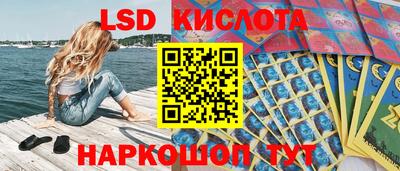 ГАЛЛЮЦИНОГЕННЫЕ ГРИБЫ Кинель