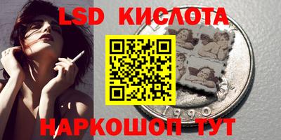 СК Кингисепп