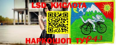 ГАЛЛЮЦИНОГЕННЫЕ ГРИБЫ Кинель