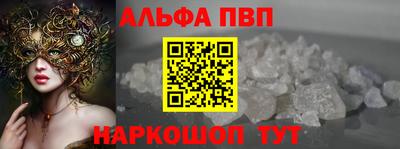 СК Кингисепп