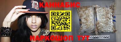 СК Кингисепп