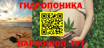 СК Кингисепп