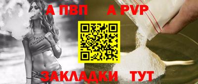 СК Кингисепп