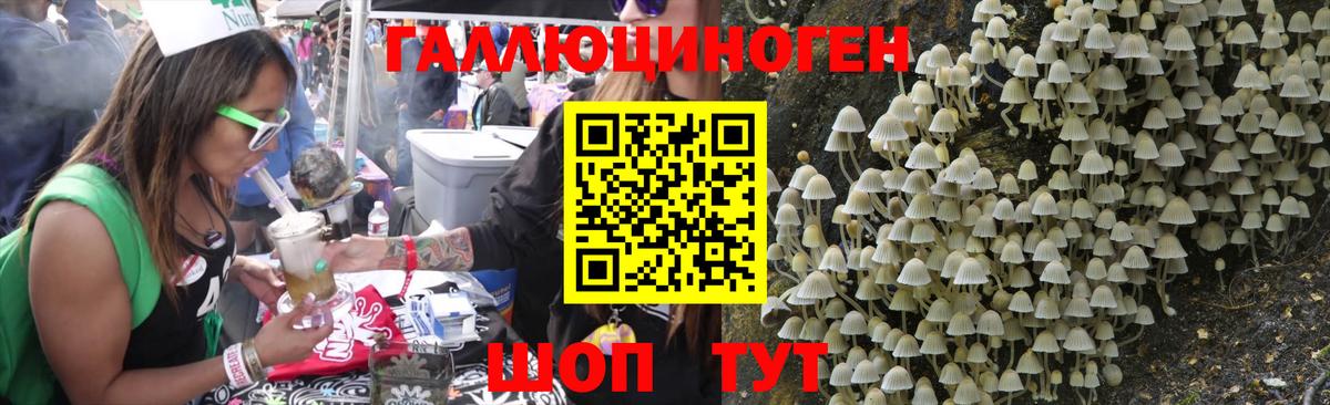 Псилоцибиновые грибы мухоморы Кировск