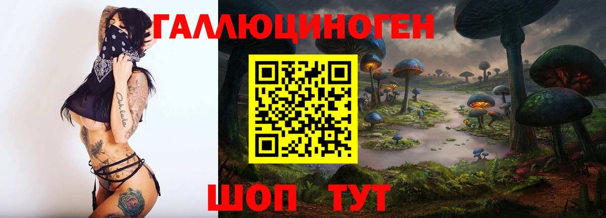 Кировск  Галлюциногенные грибы Psilocybine cubensis  как найти наркотики  Вход с VPN 